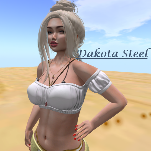 Dakota Steel