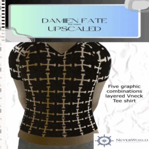 *DF* DAMIEN FATE LAYERED VNECK GRAPHIC T SB
