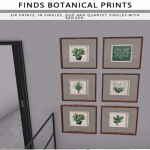 FINDS Botanical Prints 6 Prints Single and Sets (sb)