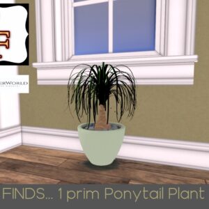 NEVERWORLD FINDS Ponytail Plant 1 prim