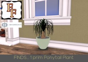 NEVERWORLD FINDS Ponytail Plant 1 prim