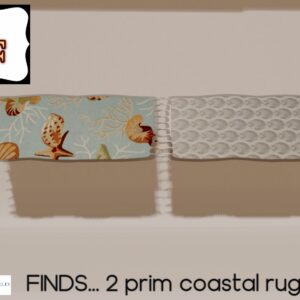 FINDS... 2 COASTAL RUGS
