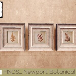 NWG FINDS Newport Botanical Shadowbox Horizontal