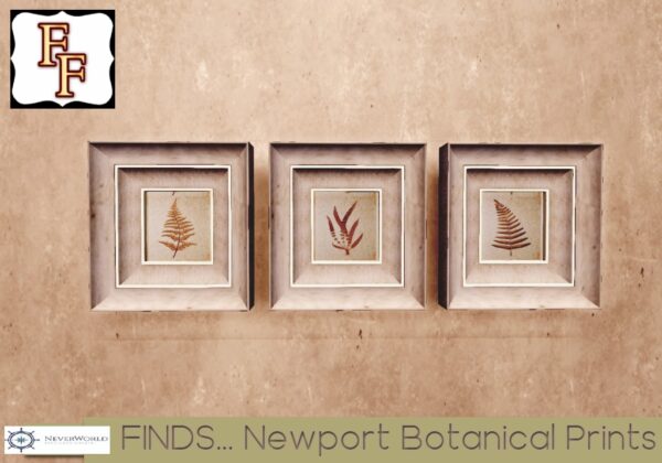 NWG FINDS Newport Botanical Shadowbox Horizontal