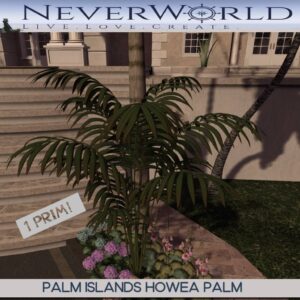 Neverworld Palm Islands Howea Palm