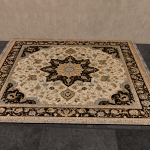 FINDS Oriental Rug