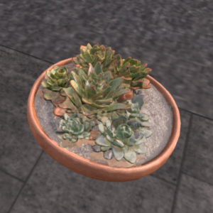 FINDS Succulent Pot