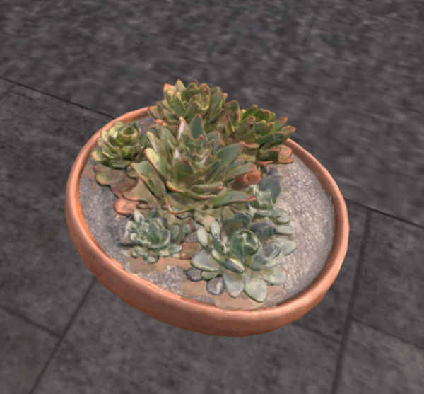 FINDS Succulent Pot