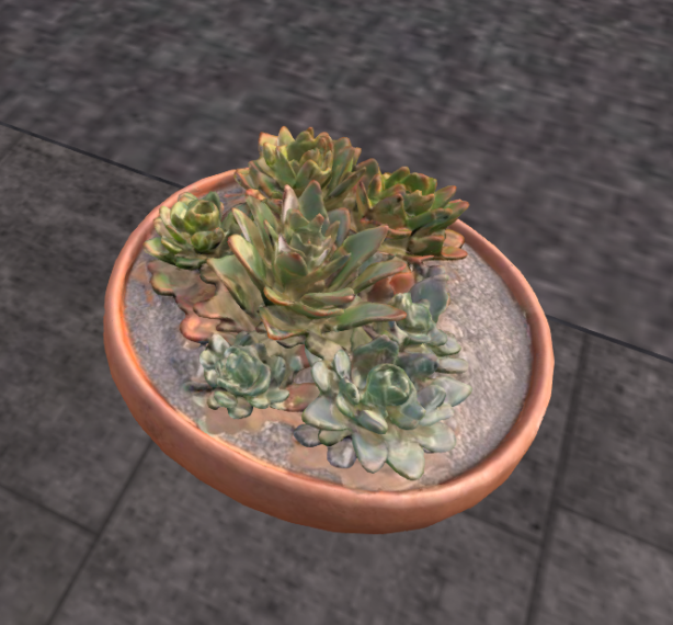 FINDS Succulent Pot
