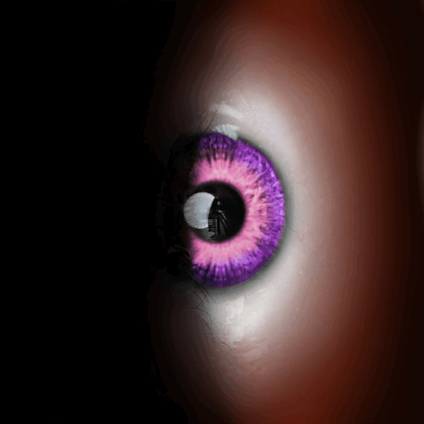 VN7 Cursed By Design Eyes 25 (SB) - Image 2