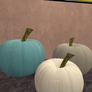 FINDS Coastal Pumpkins