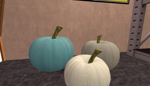 FINDS Coastal Pumpkins