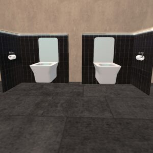 FINDS modern toilet vignette(right)