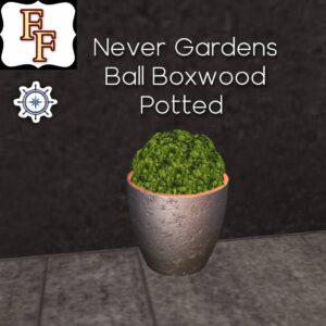 FINDS POTTED BALL BOXWOOD