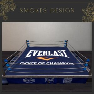 Everlast Boxing Ring