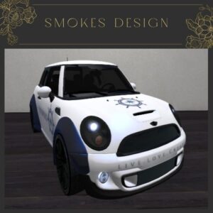 NWG Custom Mini Cooper S