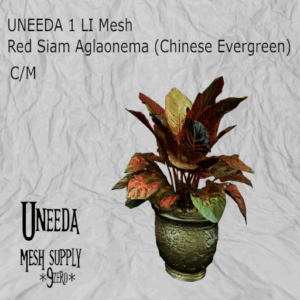 UNEEDA Red Siam Aglaonema-gold pot