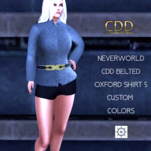 The Money Look Belted Oxford Shirt SB