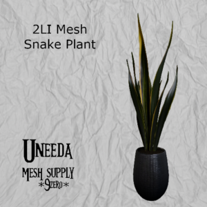 UNEEDA Snake Plant