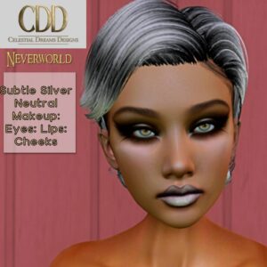 CDD Subtle Silver Neutral Makeup Kit