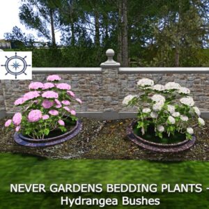 Never Gardens Brick Garden Bed Hydrangeas BOXED